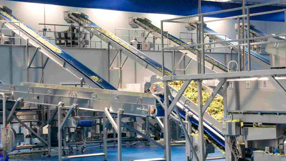 Instalaciones de la empresa Huerta de Peralta. CEDIDA