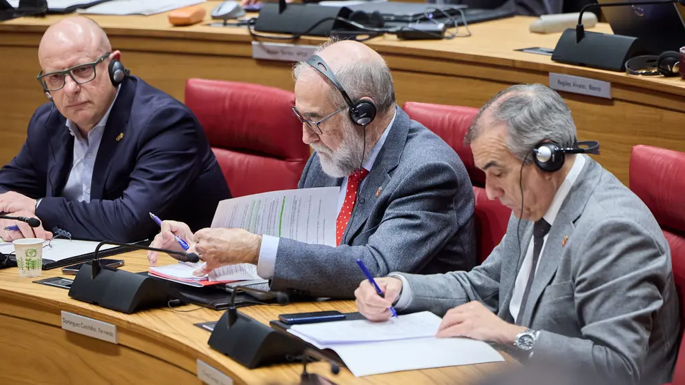 Pleno del Parlamento de Navarra. I&Ntilde;IGO ALZUGARAY