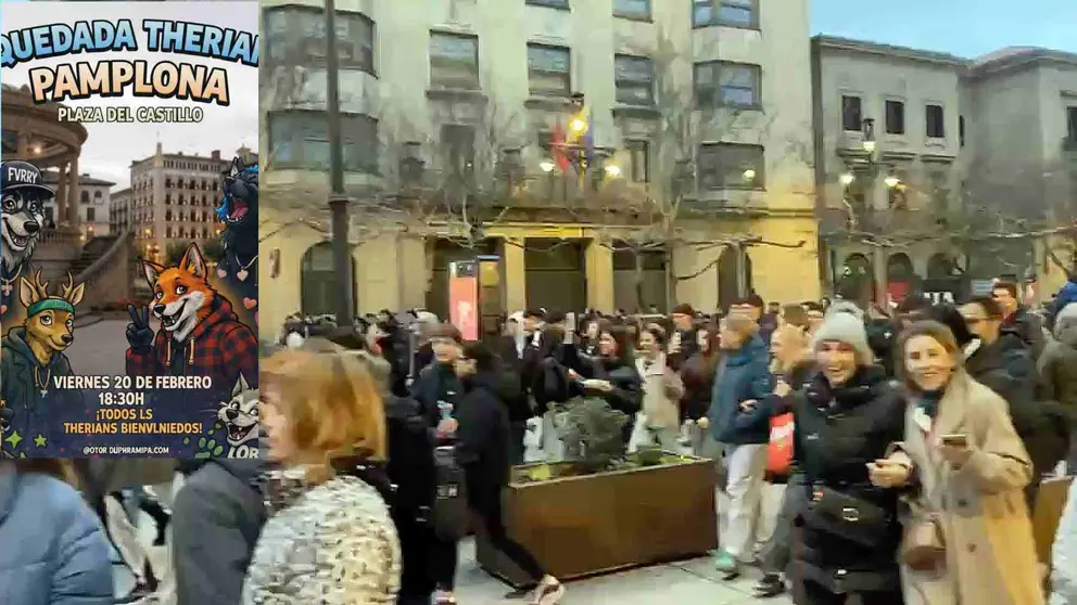 Cientos de personas acuden a la concentraci&oacute;n de 'Therians' convocada en Pamplona. NAVARRA.COM