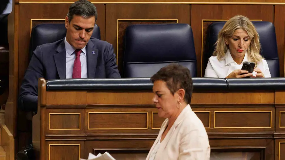 La portavoz de EH Bildu en el Congreso, Mertxe Aizpurua y Pedro S&aacute;nchez en el Congreso de los Diputados. EUROPA PRESS