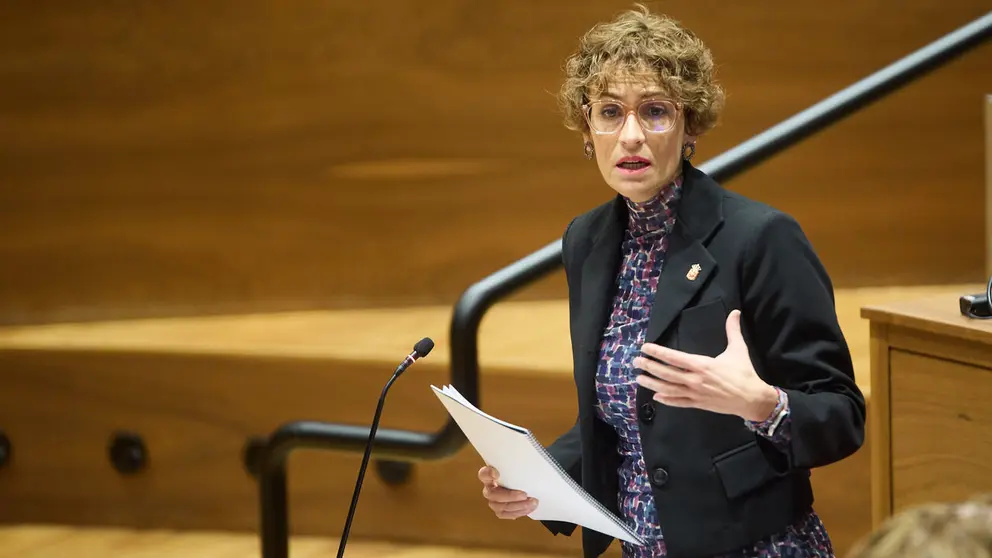 Pleno del Parlamento de Navarra. Mar&iacute;a Chivite. NAVARRA.COM