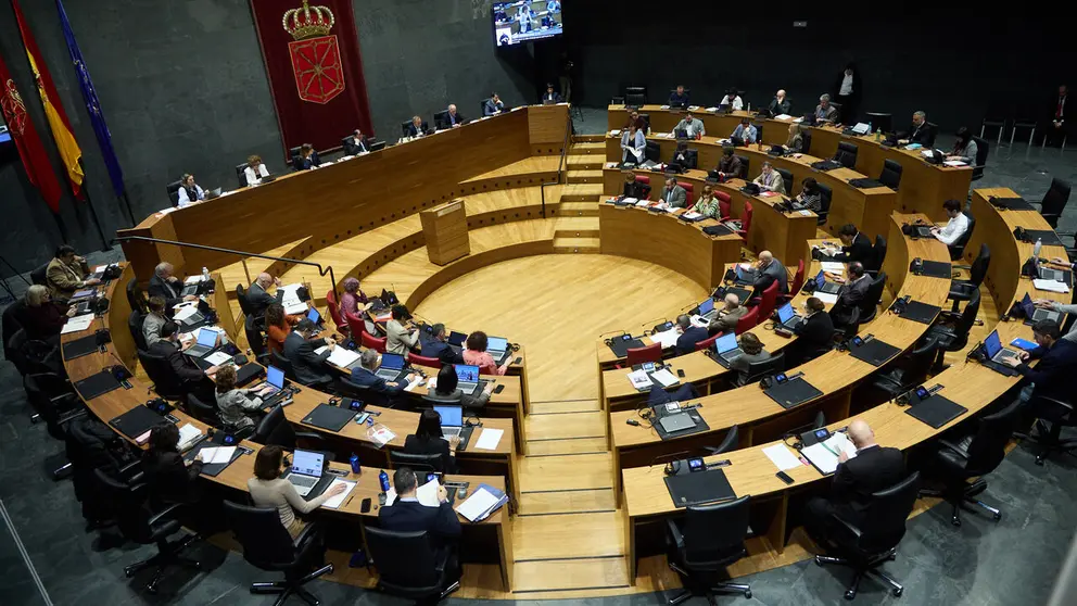 Pleno del Parlamento de Navarra. I&Ntilde;IGO ALZUGARAY