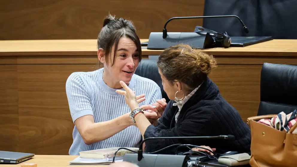 Bego&ntilde;a Alfaro, consejera de Vivienda, junto a Blanca Reg&uacute;lez, de Geroa Bai, durante el Pleno del Parlamento de Navarra. PABLO LASAOSA