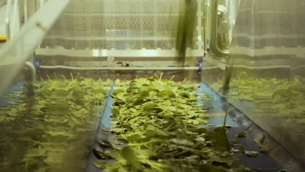 Imagen del proyecto BIOREVEAL. ADITECH