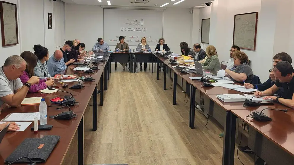 Mesa General de Función Pública. GOBIERNO DE NAVARRA