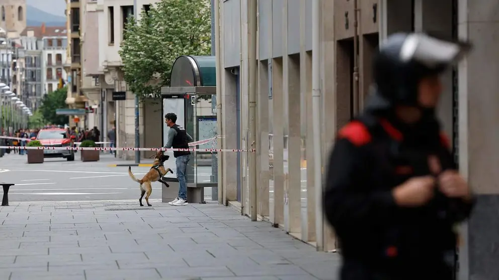 Imagen del cord&oacute;n policial en Carlos III. Al fondo, gu&iacute;as caninos de Polic&iacute;a Foral. EFE
