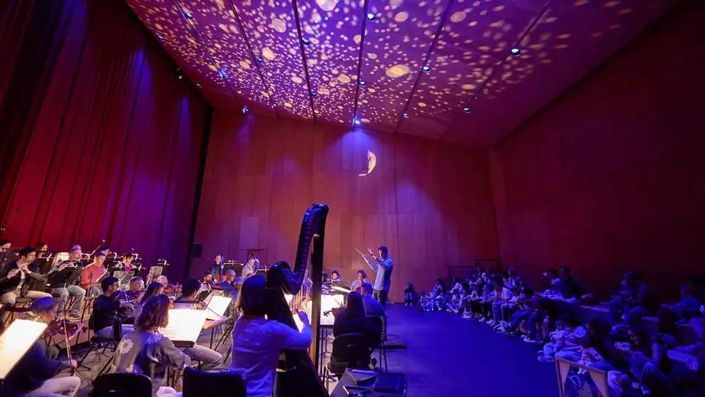 Sinfon&iacute;a para los beb&eacute;s de Atenci&oacute;n Temprana. ORQUESTA SINF&Oacute;NICA DE NAVARRA