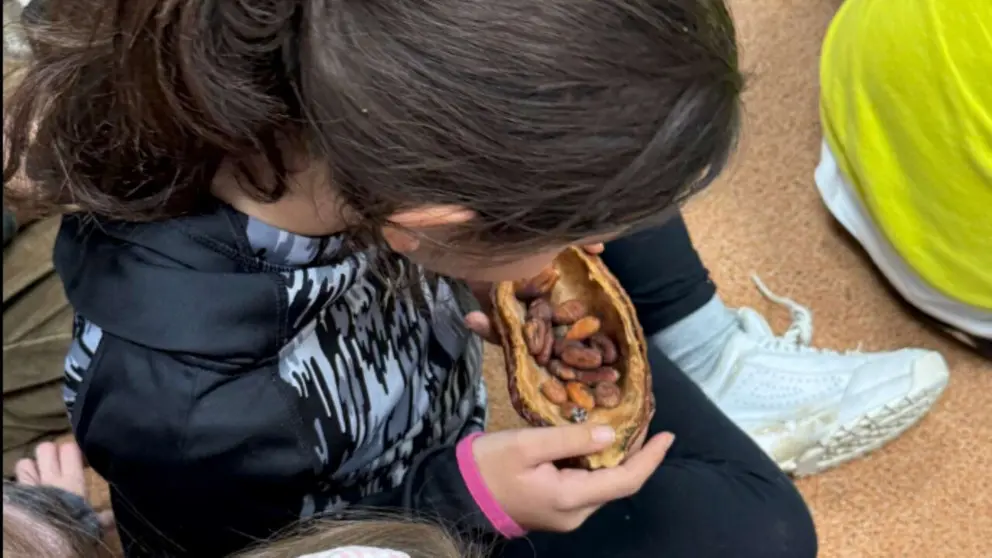 Una ni&ntilde;a sostiene cacao en sus manos. CEDIDA