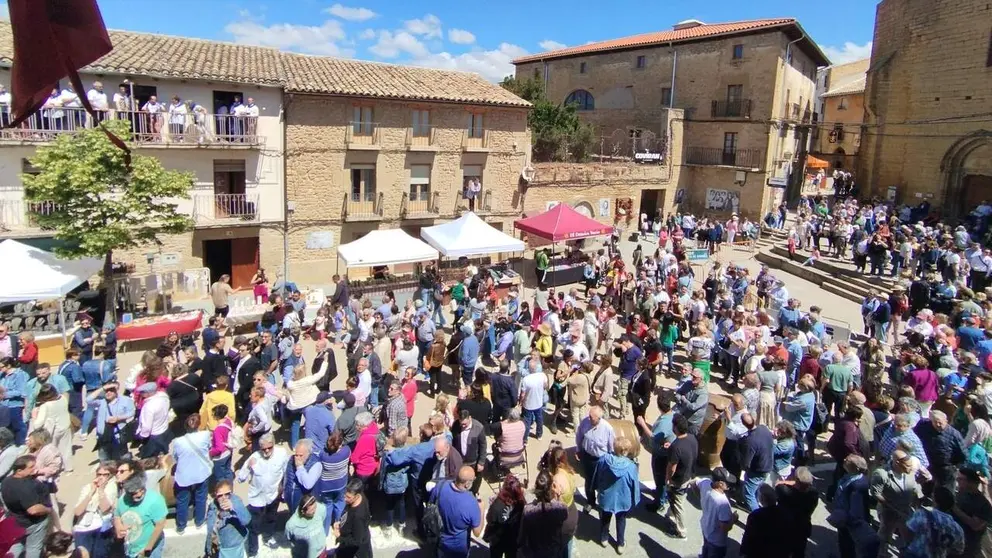 Fotografías de la edición de 2024 del Día del Rosado. CONSORCIO ZONA MEDIA