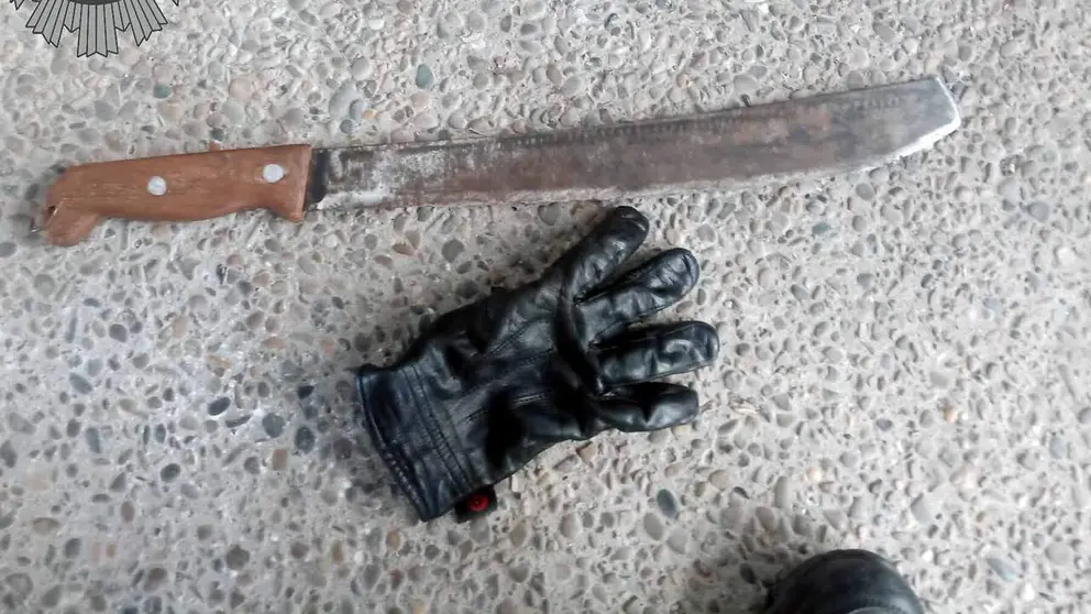 Un joven de 20 a&ntilde;os, detenido en Tudela tras una pelea: llevaba un machete al ser cacheado.