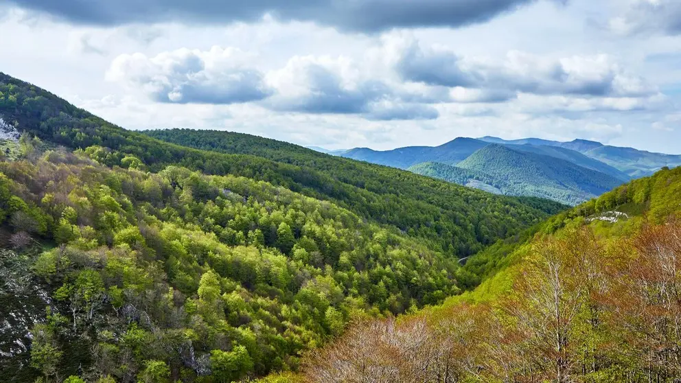 Vista de un paisaje de la Selva de Irati. JAVIER CAMPOS / TURISMO DE NAVARRA