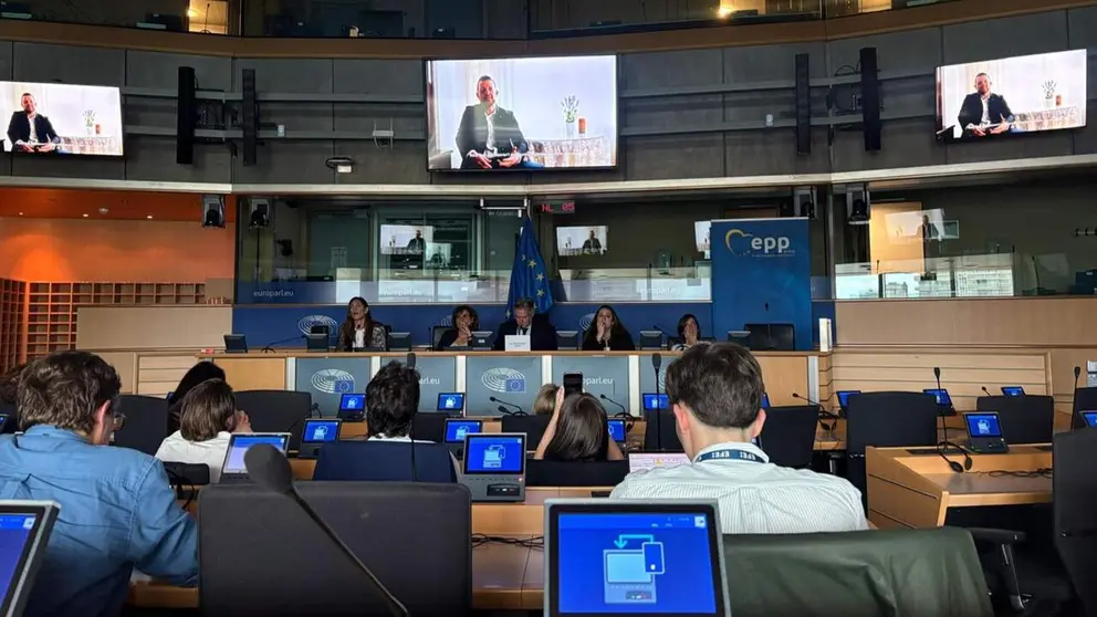 Presentaci&oacute;n del documental "Los nietos del silencio", en el Parlamento Europeo. CEDIDA
