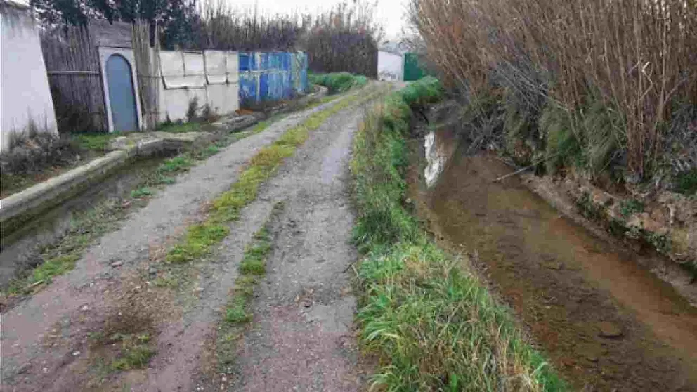 Uno de los caminos rurales de los alrededores de Tudela. AYUNTAMIENTO DE TUDELA