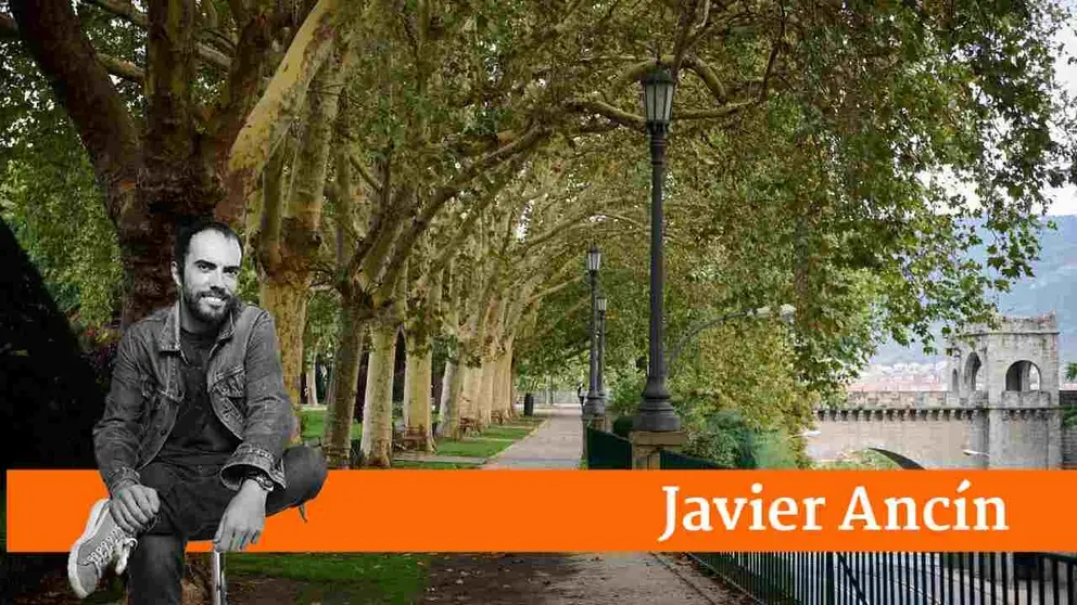 Paseo de la Taconera, desde San Lorenzo paralela a la avenida de Guip&uacute;zcoa. PABLO LASAOSA