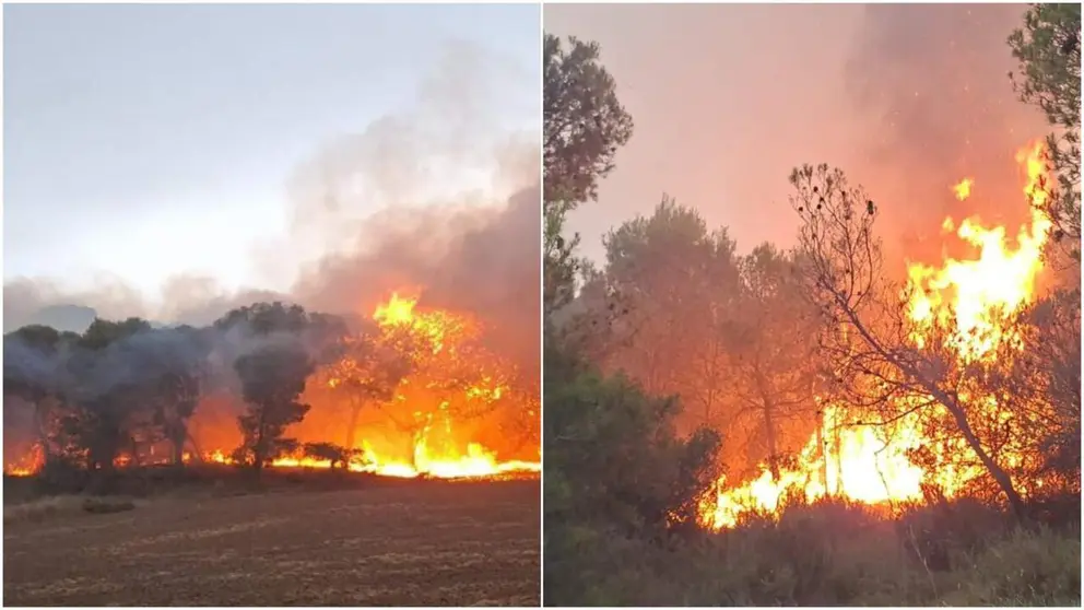 Incendio controlado en el embalse El Ferial, en las Bardenas Reales.