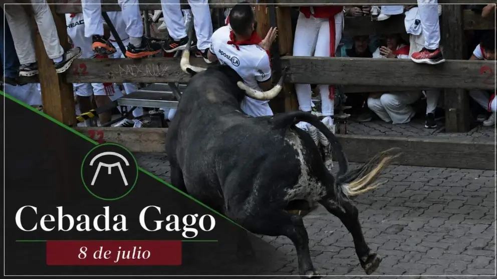 Los toros de la ganader&iacute;a de Cebada Gago correr&aacute;n el segundo encierro de San Ferm&iacute;n 2026 el mi&eacute;rcoles 8 de julio en Pamplona.