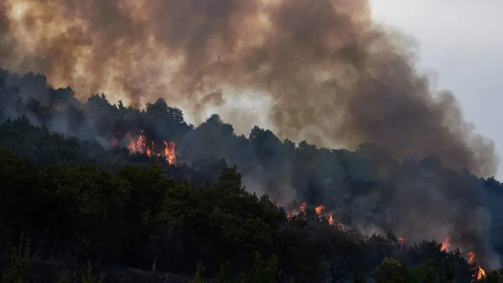 Im&aacute;genes del incendio de Ezcabarte. EUROPA PRESS