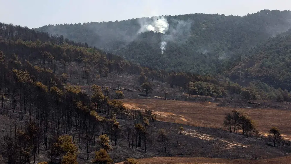 Imagen del incendio de Ezcabarte. EFE