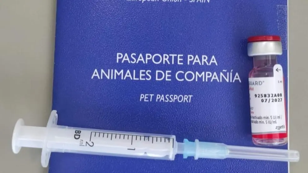 Imagen del material incautado por Polic&iacute;a Foral tras la investigaci&oacute;n.