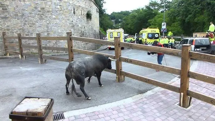 El toro Curioso, de Jos&eacute; Escolar, en el encierro del 9 de julio de 2015 en Pamplona.