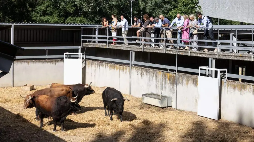 La Corporaci&oacute;n municipal visita los Corrales del Gas. AYUNTAMIENTO DE PAMPLONA