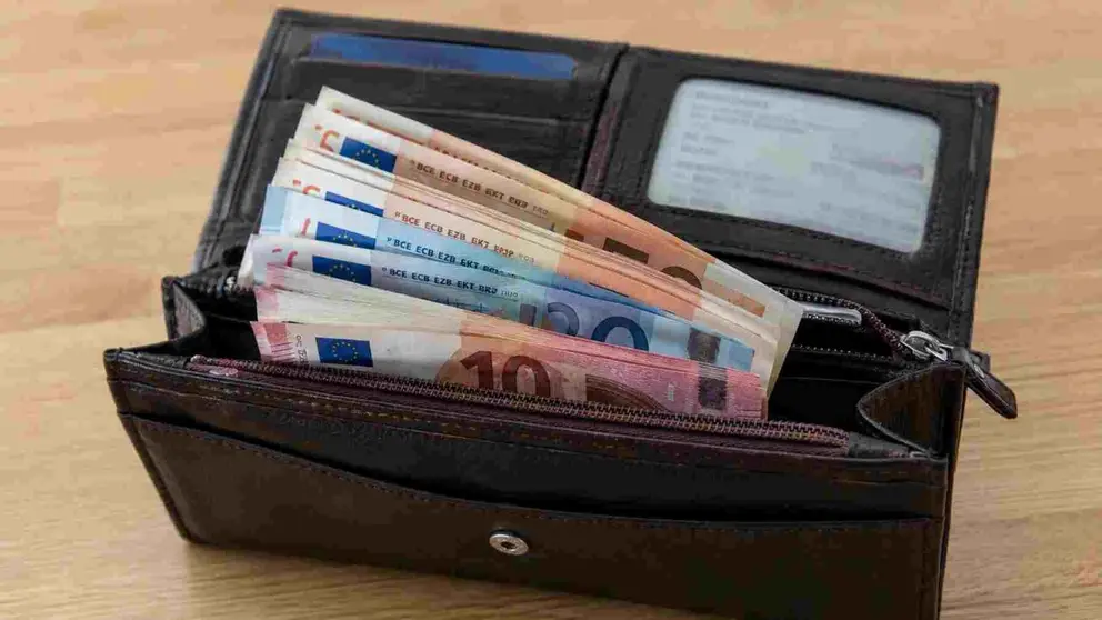 Una cartera con documentaci&oacute;n y dinero.