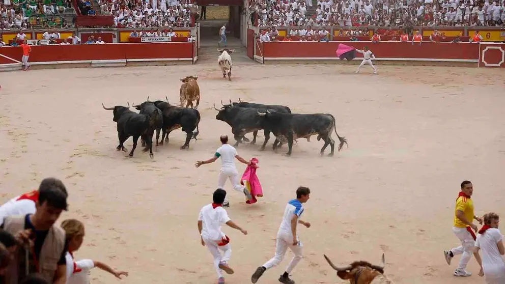 Los toros de la ganader&iacute;a sevillana de Miura tras llegar este lunes a la plaza de toros de Pamplona durante el s&eacute;ptimo encierro de los Sanfermines 2026. EFE/Villar Lopez