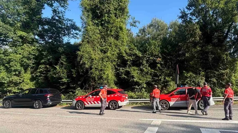 Momento de la detenci&oacute;n del conductor borracho que huy&oacute; del control policial. POLIC&Iacute;A FORAL