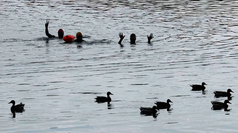 Un grupo de personas ba&ntilde;&aacute;ndose en la balsa de la Morea. EFE / ARCHIVO