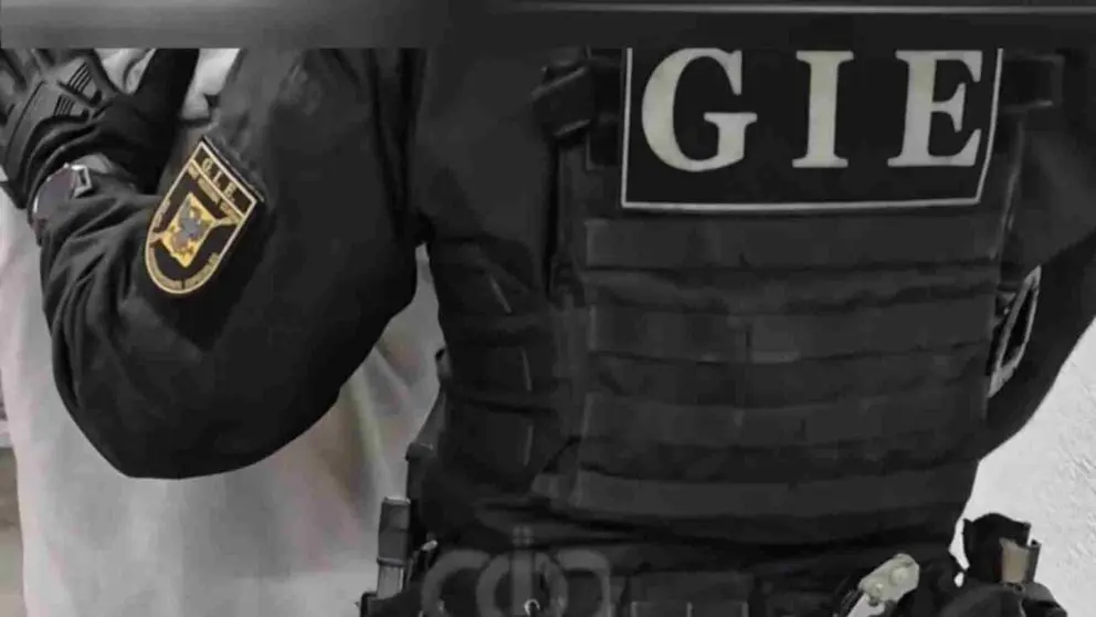 Un agente del Grupo de Intervenci&oacute;n Especial de la Polic&iacute;a Foral conduce al detenido. POLIC&Iacute;A FORAL