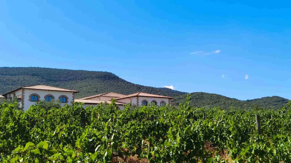 Bodegas Quaderna Via, Navarra. CEDIDA