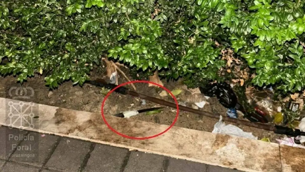 Imagen del cuchillo que portaba el ladr&oacute;n. POLIC&Iacute;A FORAL