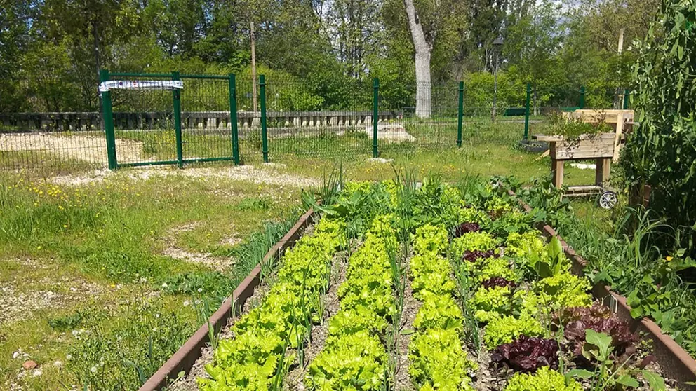 Imagen de un huerto urbano en Aranzadi. AYUNTAMIENTO DE PAMPLONA