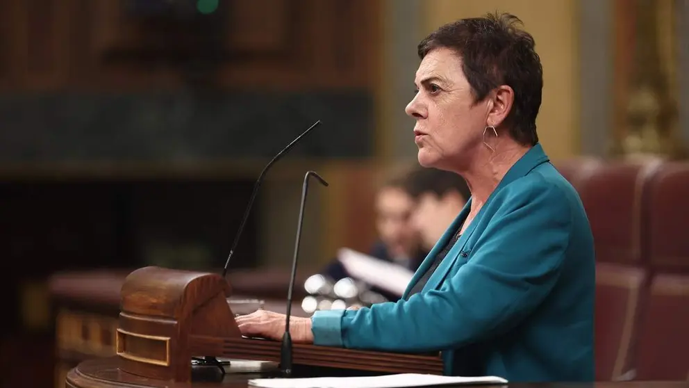 La diputada de EH Bildu, Mertxe Aizpurua. EUROPA PRESS