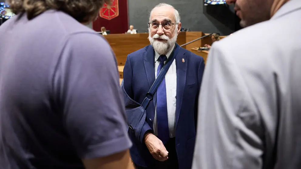 Pleno del Parlamento de Navarra. NAVARRA.COM