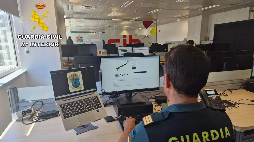 Agente de Guardia Civil en una operaci&oacute;n contra la ciberdelincuencia. GUARDIA CIVIL NAVARRA