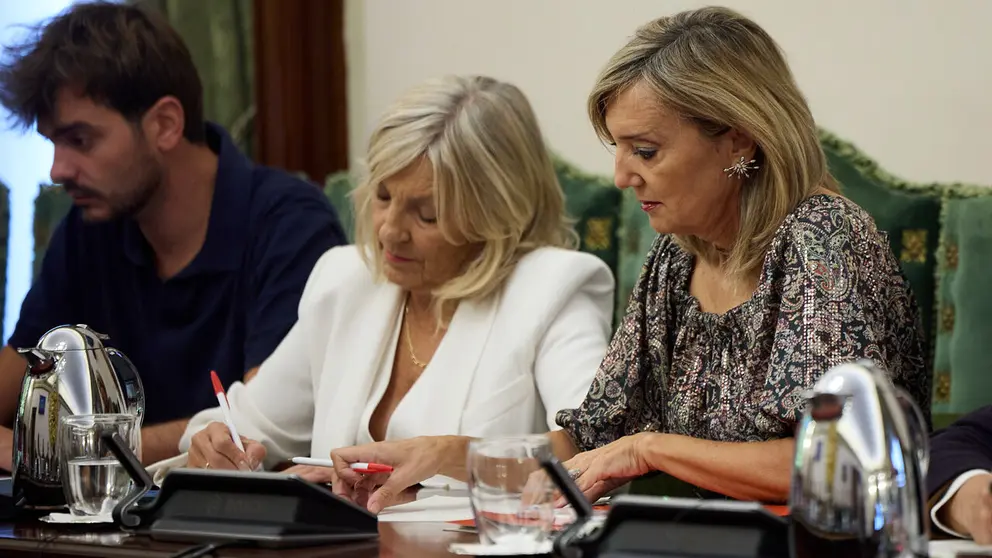 Debate del Estado de la Ciudad en un pleno extraordinario del Ayuntamiento de Pamplona. NAVARRA.COM