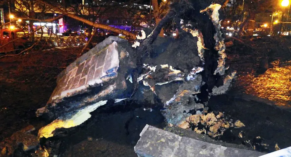 Dos heridos tras la caída de un árbol de varias toneladas en Pamplona: las imágenes del impacto