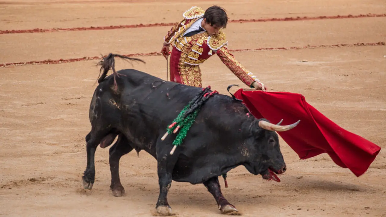 Tarde en el ruedo 7de Julio 2016 MAITE H.MATEO14