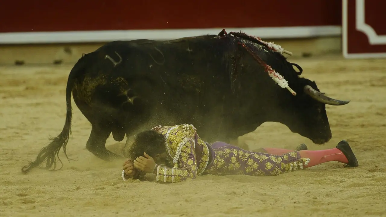 Voltereta de Colombo en su segundo novillo de la Feria del Toro, al que ha logrado cortarle dos orejas para abrir la puerta grande MIGUEL OS&Eacute;S