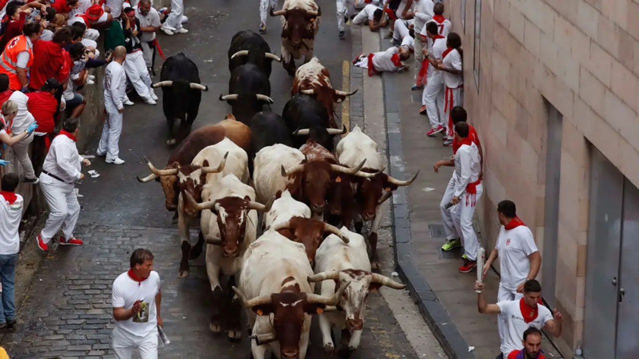 Los mozos corren delante de los toros de la ganader&iacute;a salmantina de Puerto de San Lorenzo, en la cuesta de Santo Domingo, durante el tercer encierro de los Sanfermines 2017. EFE Javier Liz&oacute;n