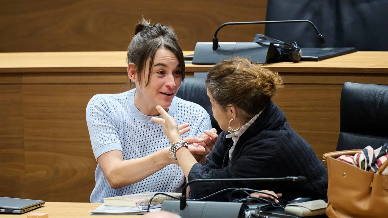 Bego&ntilde;a Alfaro, consejera de Vivienda, junto a Blanca Reg&uacute;lez, de Geroa Bai, durante el Pleno del Parlamento de Navarra. PABLO LASAOSA