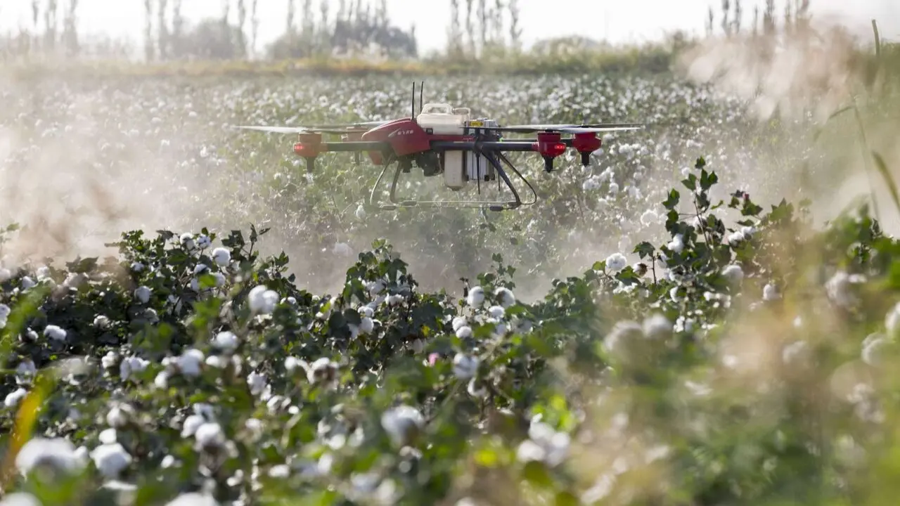 Un dron agr&iacute;cola. PIXABAY