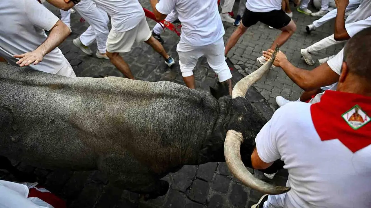 Quinto encierro de San Ferm&iacute;n 2026 con toros de Jos&eacute; Escolar. PABLO LASAOSA
