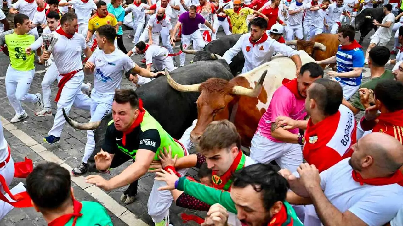 Los toros de la ganader&iacute;a sevillana de Miura durante el s&eacute;ptimo encierro de los Sanfermines 2026, este lunes en Pamplona. PABLO LASAOSA