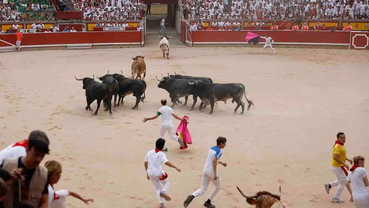 Los toros de la ganader&iacute;a sevillana de Miura tras llegar este lunes a la plaza de toros de Pamplona durante el s&eacute;ptimo encierro de los Sanfermines 2026. EFE/Villar Lopez