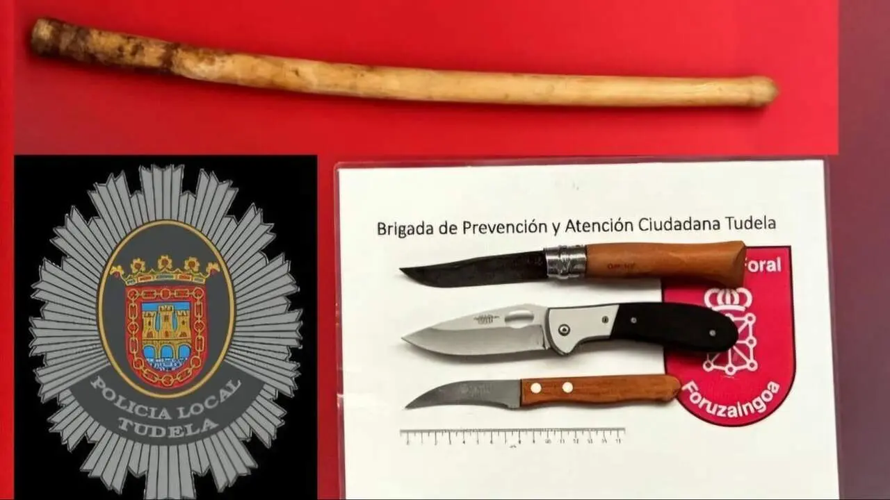 Imagen de las armas incautadas en Tudela. POLIC&Iacute;A FORAL