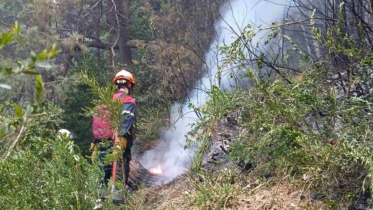 Un bombero trabajando en el incendio de Urzainqui. BOMBEROS DE NAVARRA