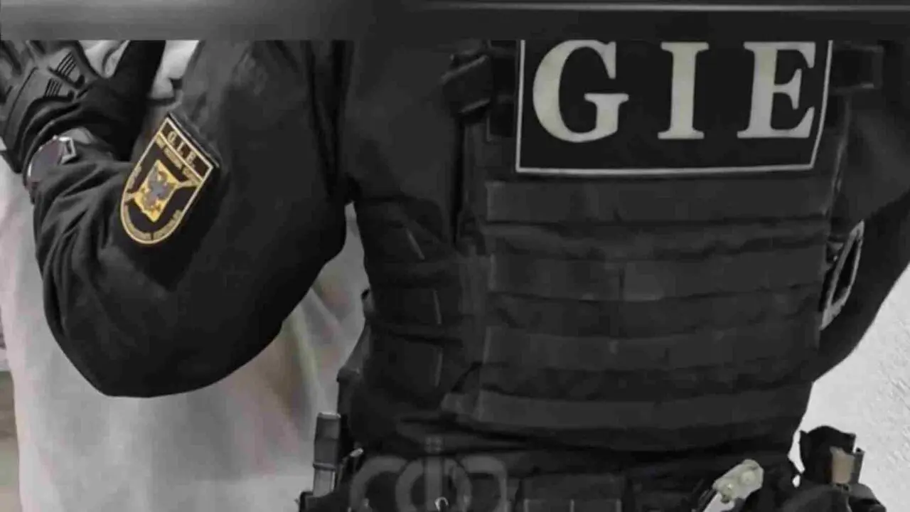 Un agente del Grupo de Intervenci&oacute;n Especial de la Polic&iacute;a Foral conduce al detenido. POLIC&Iacute;A FORAL