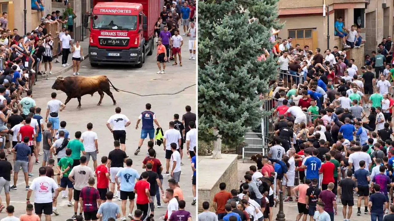 Momento en el que el toro arremete contra la zona del vallado donde se encontraba la mujer.